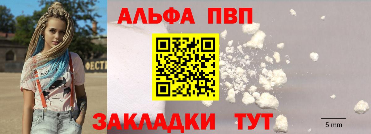 A PVP СК КРИС Кемерово