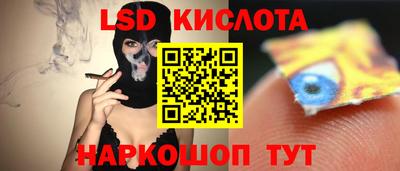 прущие грибы Гусиноозёрск