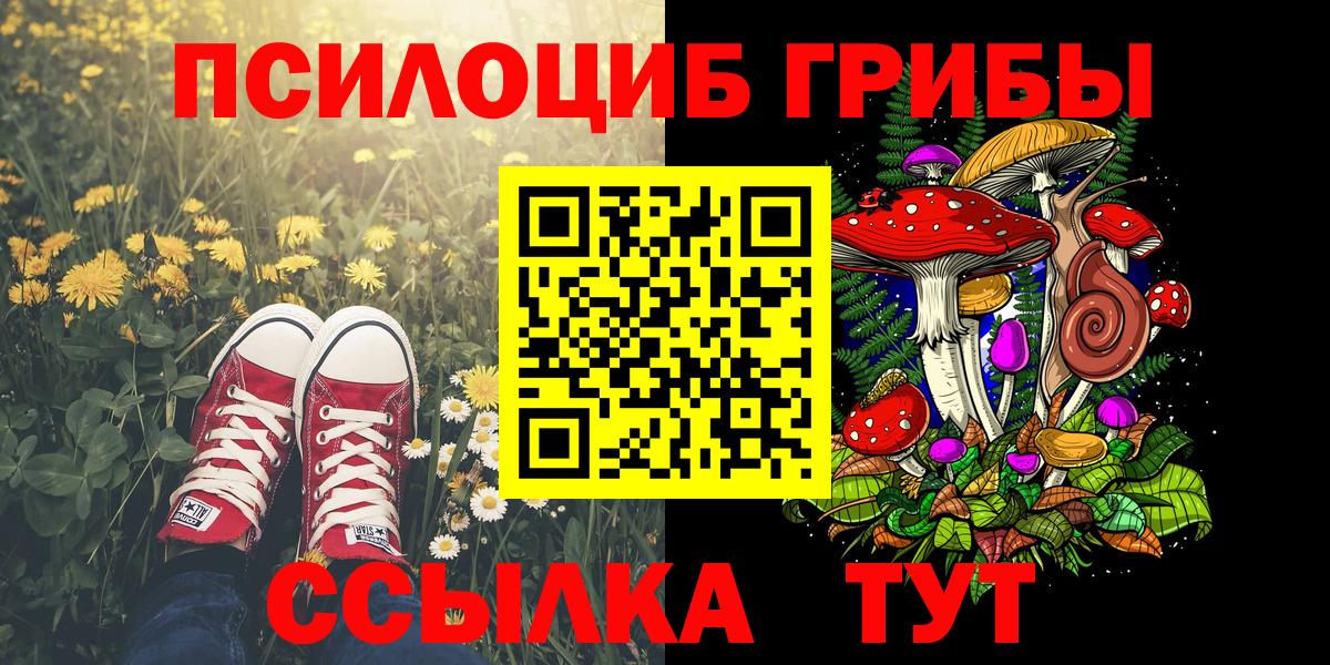 Галлюциногенные грибы MAGIC MUSHROOMS Кемерово
