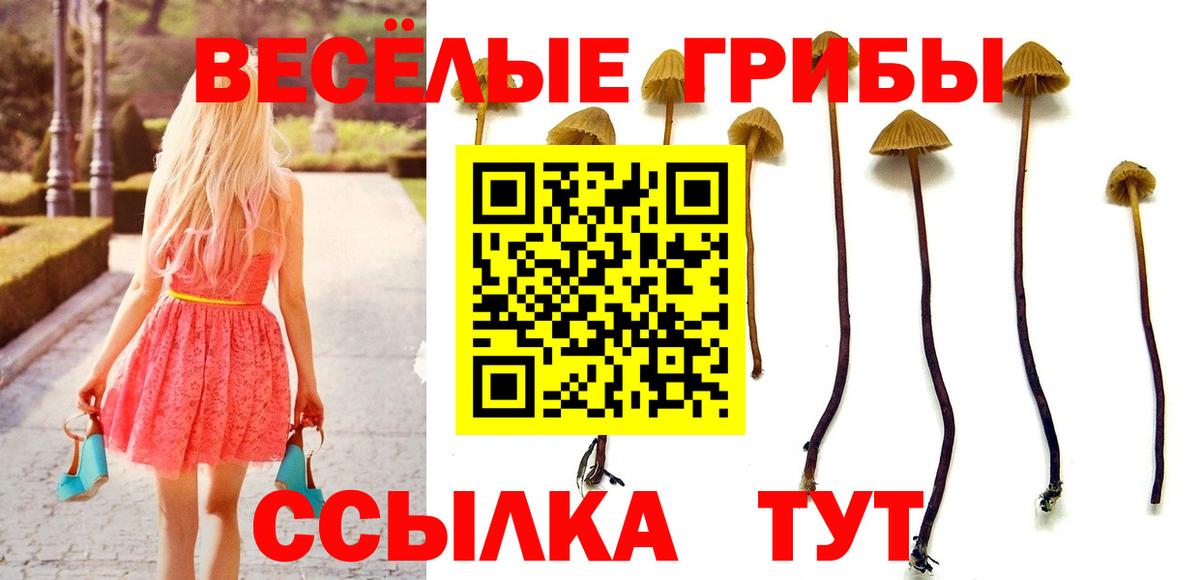 Галлюциногенные грибы MAGIC MUSHROOMS  Галлюциногенные грибы Psilocybe  Вход с VPN  Кемерово 